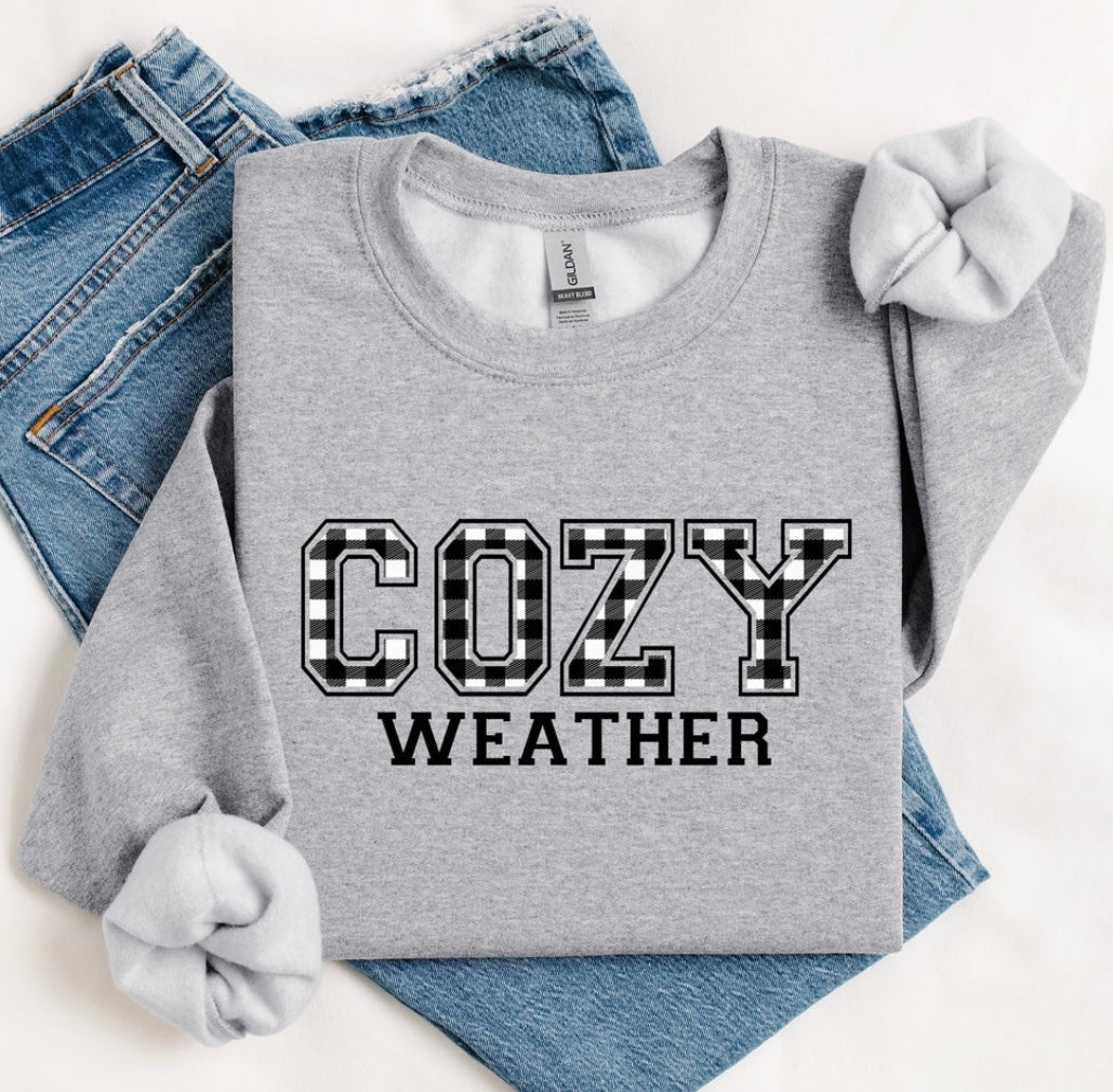 Cozy Weather Sweatshirt